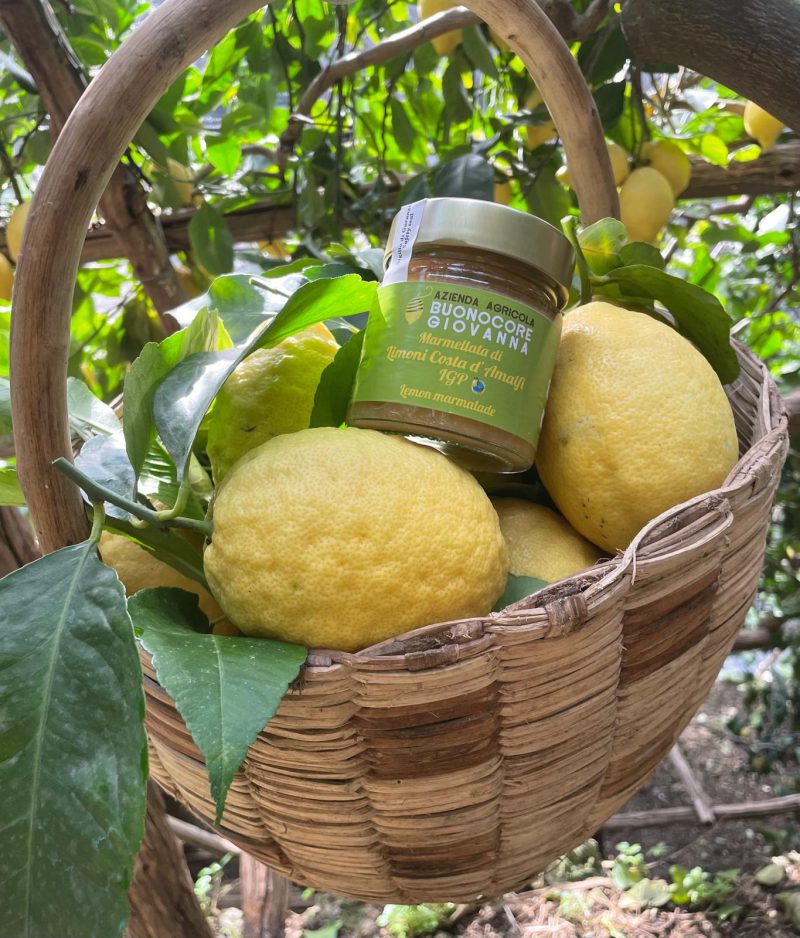 Marmellata di Limoni Costa d' Amalfi IGP