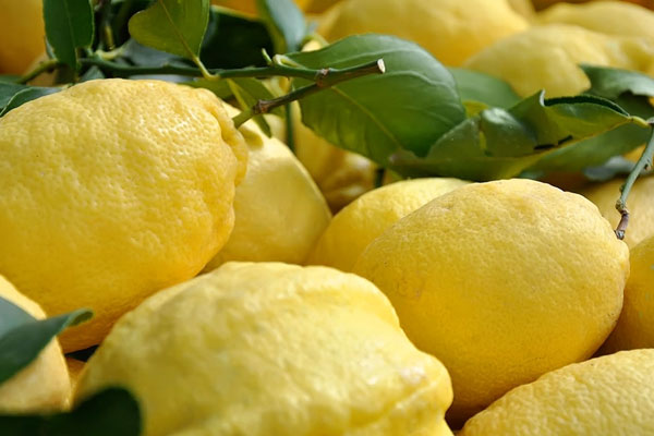 societa-di-distretto